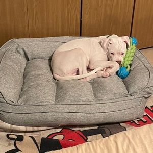 Meet your Posher, Claudia